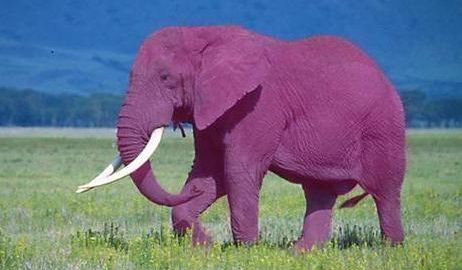 Evernote te lee el pensamiento