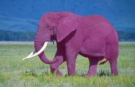 Evernote te lee el pensamiento