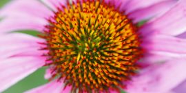 SAP Fiori UX: lo bueno es ahora bonito