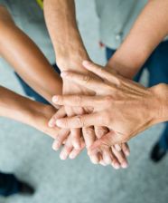 ¿Proveedor o Socio de Negocio?