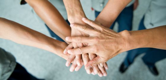 ¿Proveedor o Socio de Negocio?