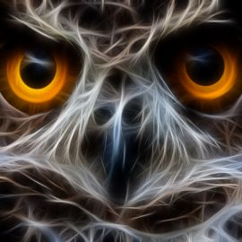 Hootsuite busca casa en Latinoamérica