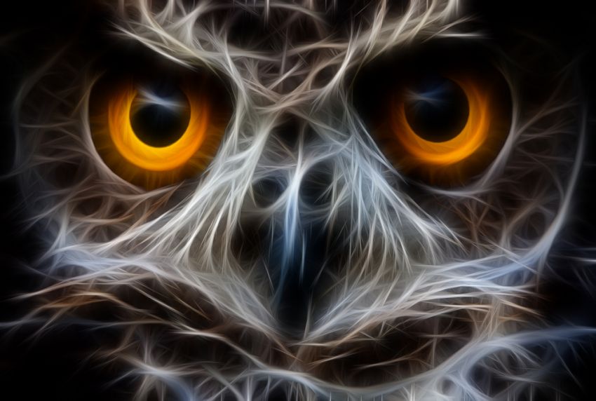Hootsuite busca casa en Latinoamérica