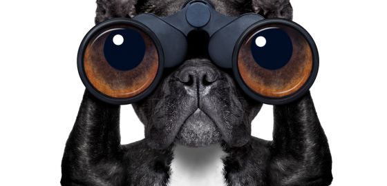 ¿Pasó la fiebre de Google Glass?