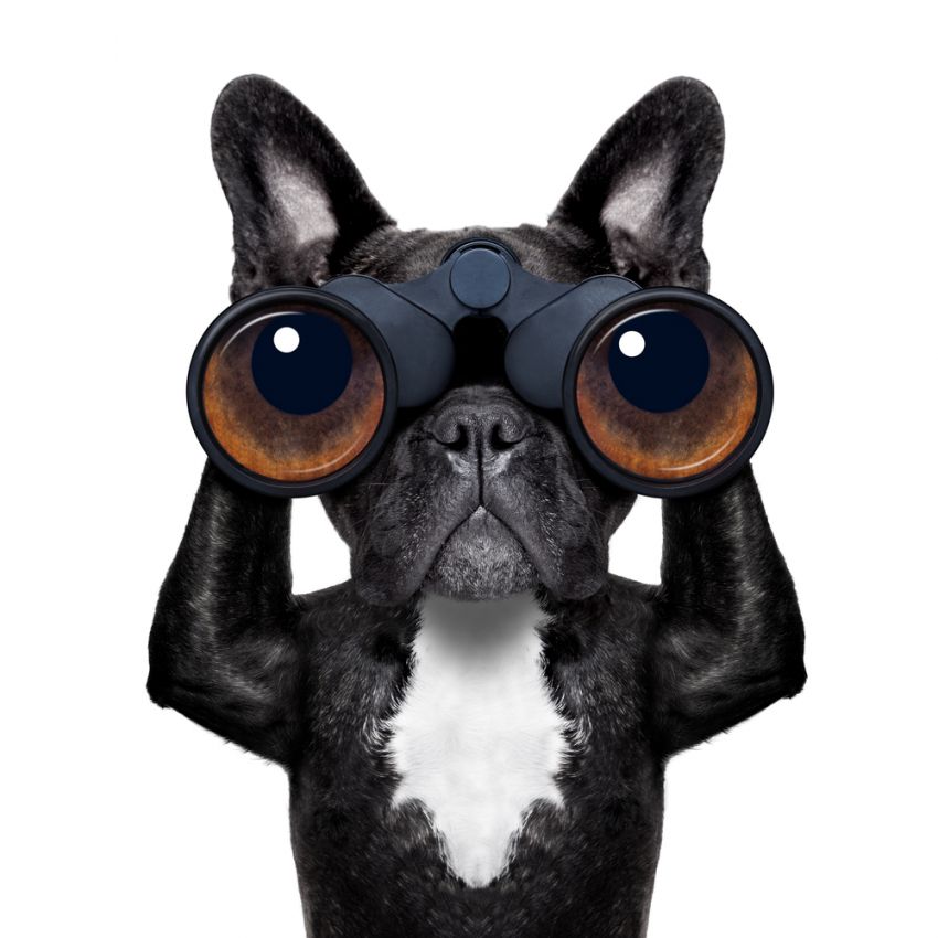 ¿Pasó la fiebre de Google Glass?