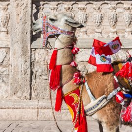¿Cómo es el consumidor peruano?