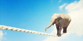 Equilibra Arte y Ciencia en tu Content Marketing