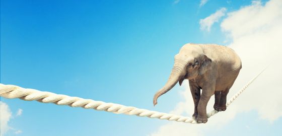 Equilibra Arte y Ciencia en tu Content Marketing