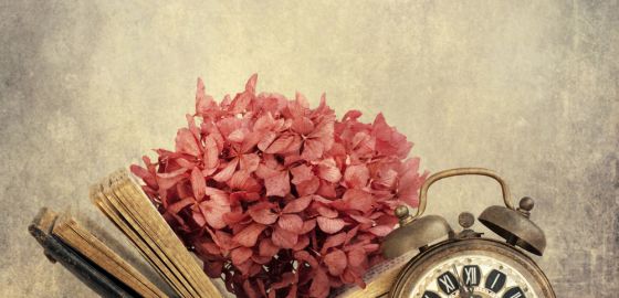¿Por qué es tan efectivo el Content Marketing?