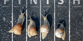 Una Clara Definición de PageSpeed de Google