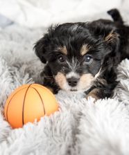 Redefiniendo la Lealtad para los Millennials y demás