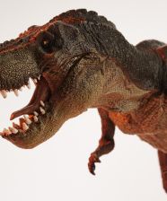 La Vejez de Abercrombie & Fitch