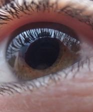 Marketing Visual para Seres Humanos Visuales