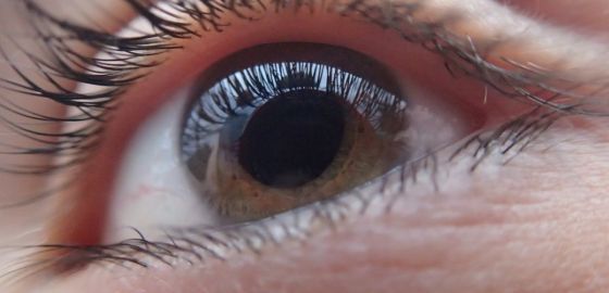 Marketing Visual para Seres Humanos Visuales