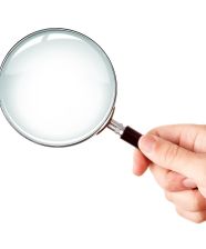 Google Searchers: Nuevo Target para Marketing Digital