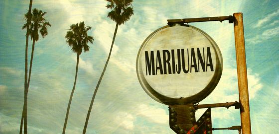 Marihuana para Convivir