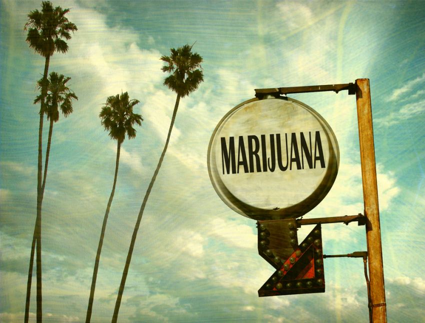 Marihuana para Convivir