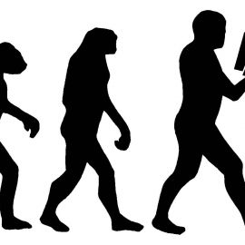 Evoluciona o Muere