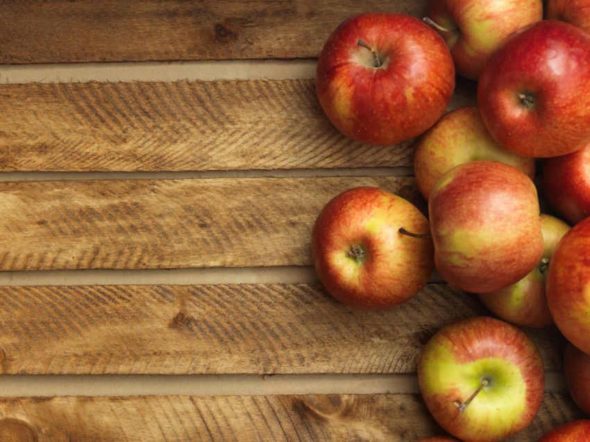 Apple VS FBI Con Manzanitas