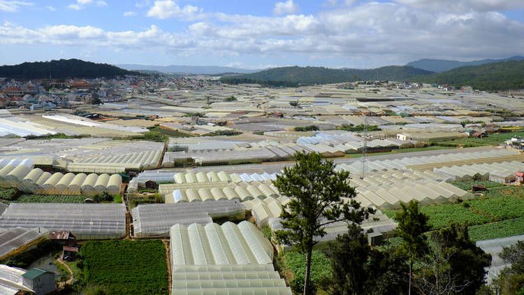 hiperconectividad-agricola-agricultura
