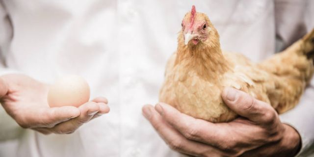 paradoja personalizacion