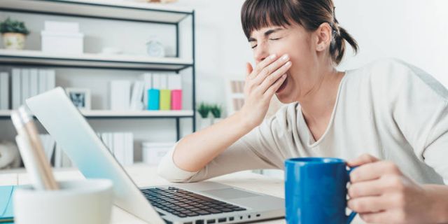 contenido experiencia